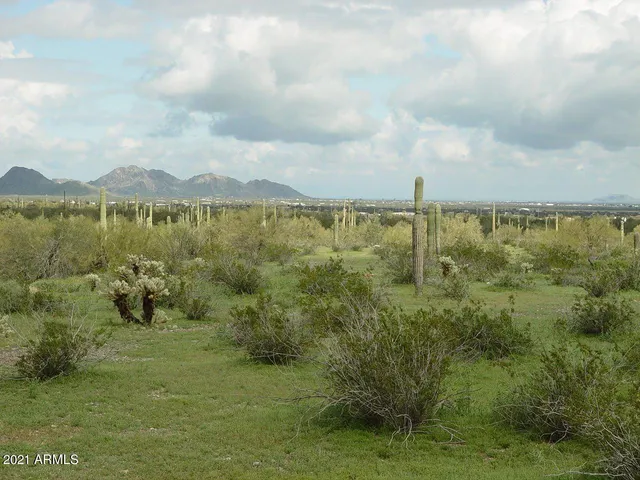 a view of a city with lush green forest