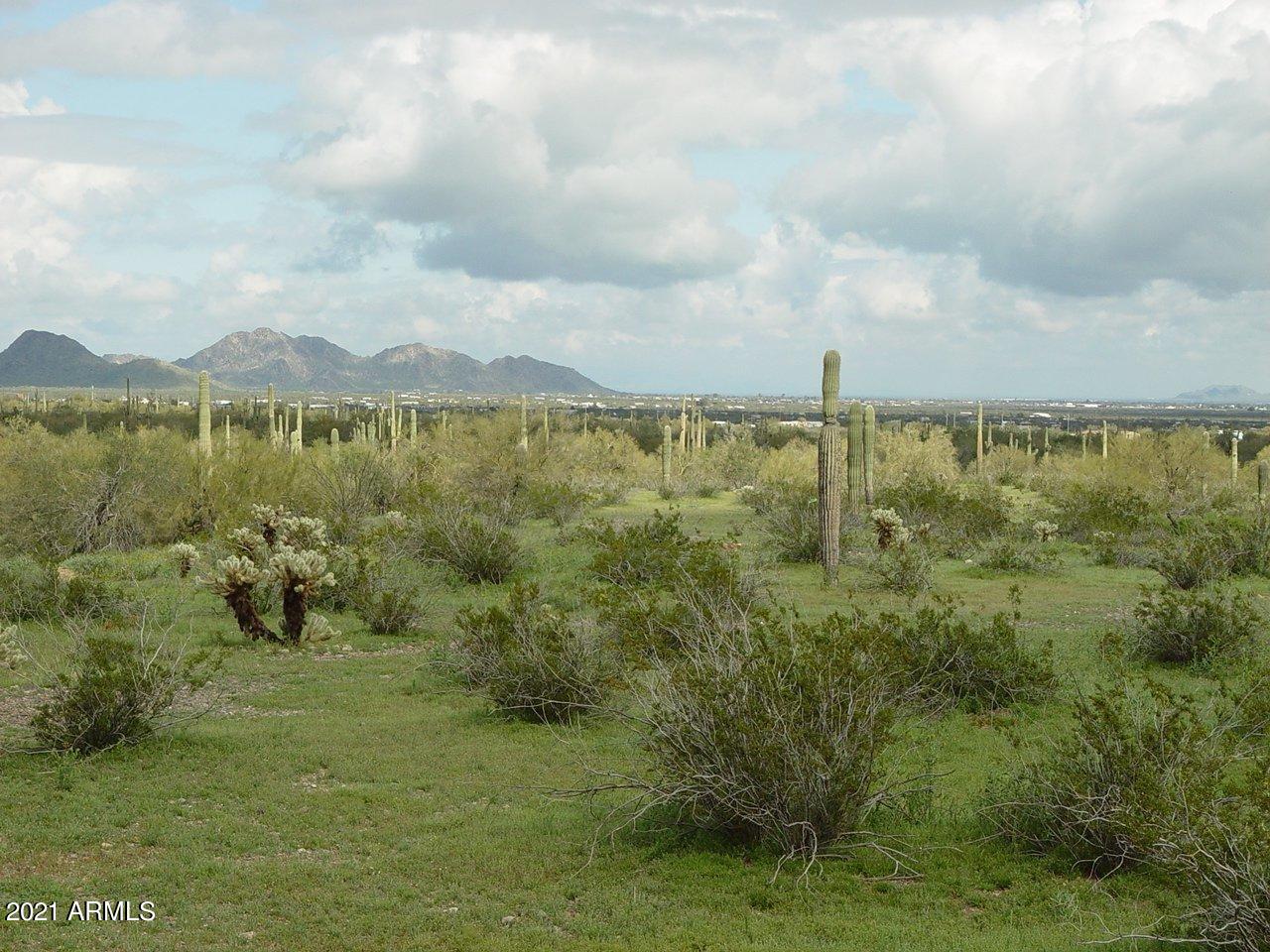 54214 West Whirly Bird Road, Unit 32 Maricopa, AZ 85139 - Photo 16 of 25 a view of a lake from a yard