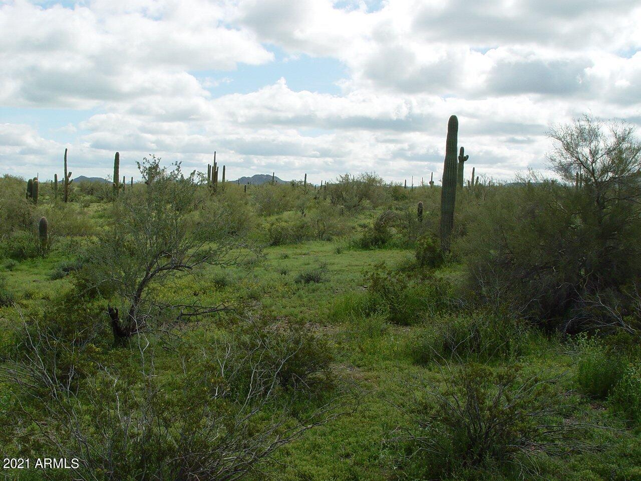 54214 West Whirly Bird Road, Unit 32 Maricopa, AZ 85139 - Photo 17 of 25 a view of a city with lush green forest