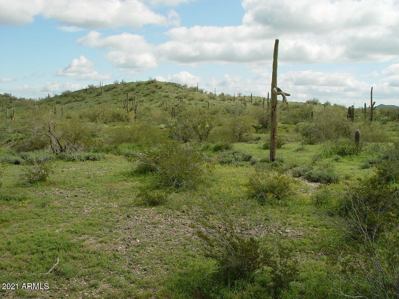 54214 West Whirly Bird Road, Unit 32 Maricopa, AZ 85139 - Photo 18 of 25 a view of a city with lush green forest