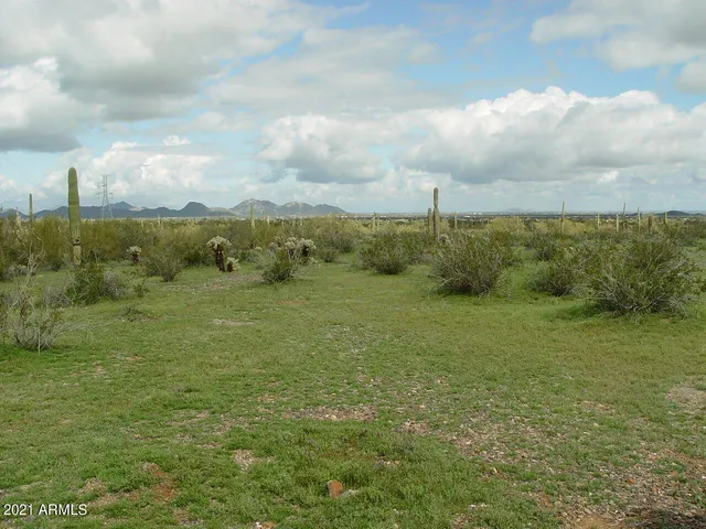 a view of a city with lush green forest