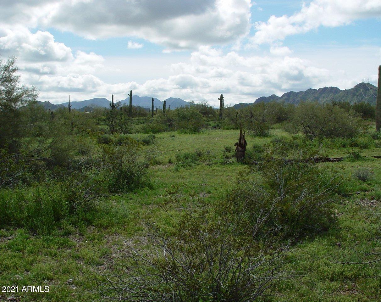 54214 West Whirly Bird Road, Unit 32 Maricopa, AZ 85139 - Photo 20 of 25 a view of a city with lush green forest