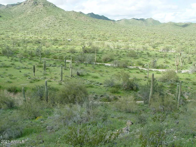 a view of a lush green hillside and a mountain