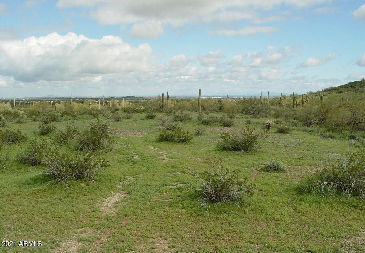 54214 West Whirly Bird Road, Unit 32 Maricopa, AZ 85139 - Photo 21 of 25 a view of a field of grass and trees