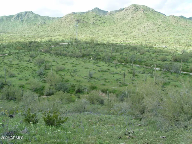 a view of a lush green hillside and a houses