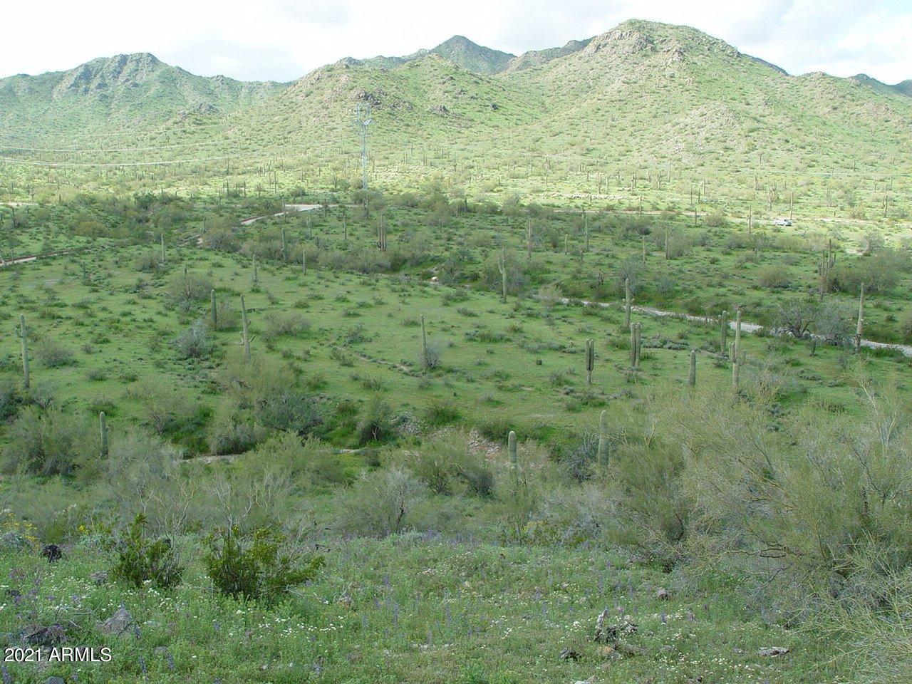54214 West Whirly Bird Road, Unit 32 Maricopa, AZ 85139 - Photo 3 of 25 a view of a lush green hillside and a houses