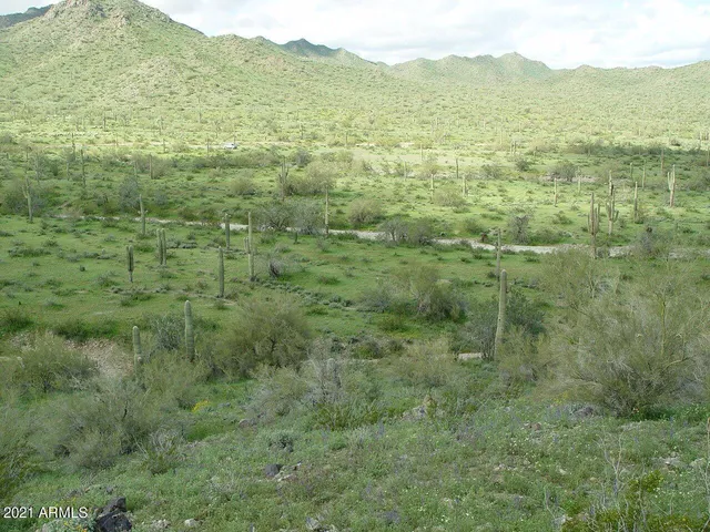a view of a mountain range with lush green forest