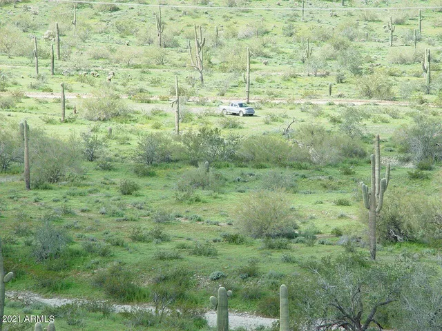 a view of a green field