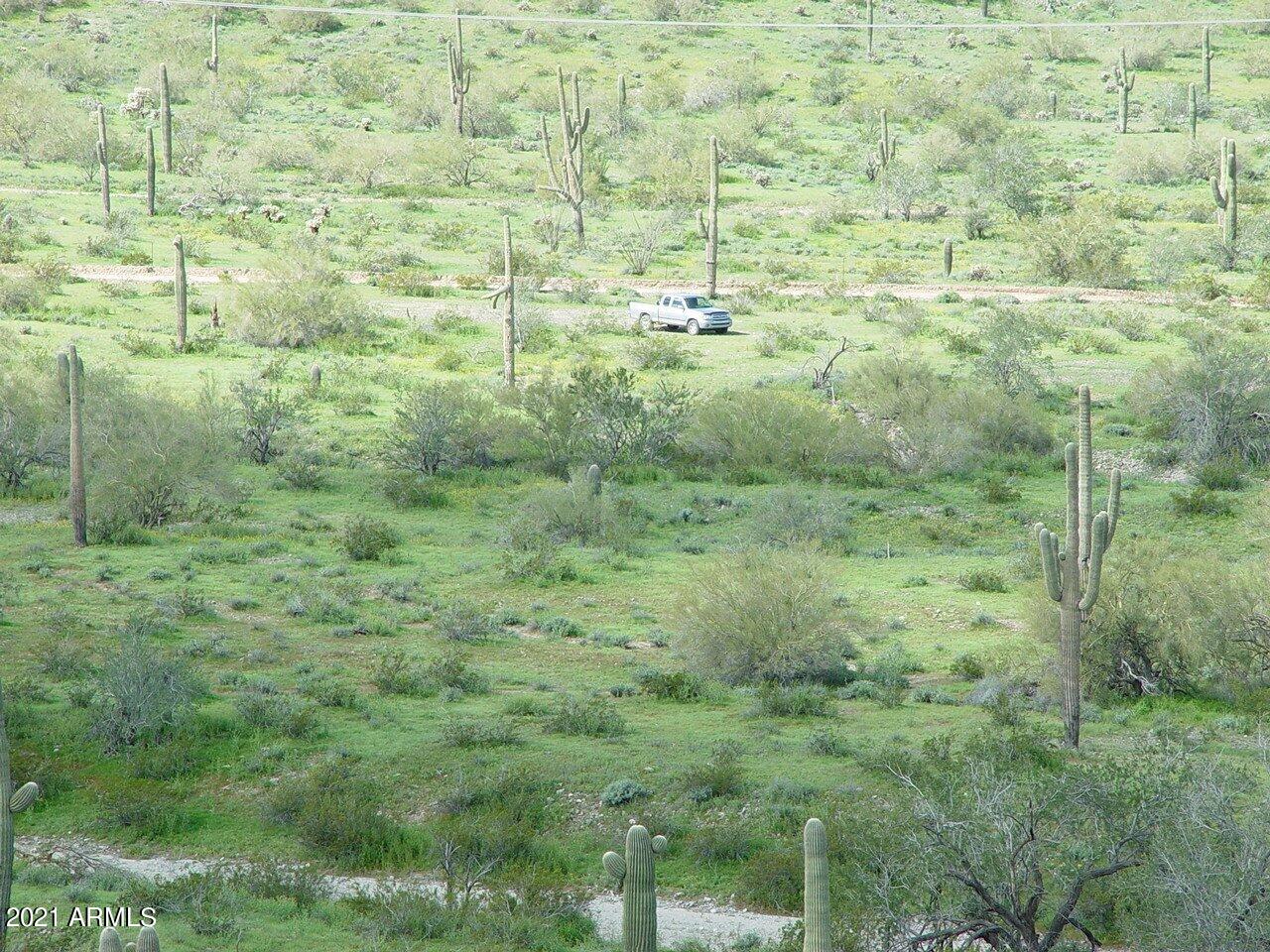 54214 West Whirly Bird Road, Unit 32 Maricopa, AZ 85139 - Photo 5 of 25 a view of a green field