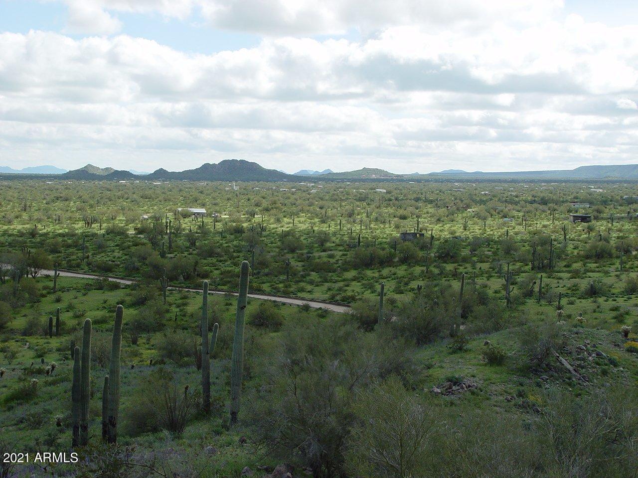 54214 West Whirly Bird Road, Unit 32 Maricopa, AZ 85139 - Photo 7 of 25 a view of a green field with lots of bushes
