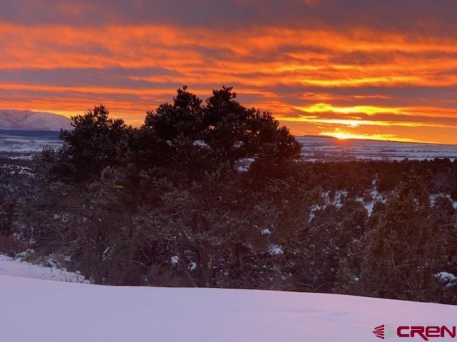34099 Rd M Mancos, CO 81328 - Photo 35 of 35