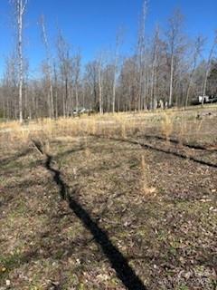 1639-1643 Mallard Bay Road, Unit 17 & 18 York, SC 29745 - Photo 4 of 7 a view of snow covered with snow
