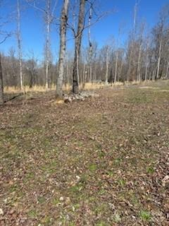1639-1643 Mallard Bay Road, Unit 17 & 18 York, SC 29745 - Photo 6 of 7 a view of outdoor space with trees