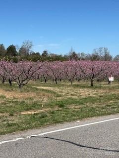 1639-1643 Mallard Bay Road, Unit 17 & 18 York, SC 29745 - Photo 7 of 7 a view of a lake with mountains in the background