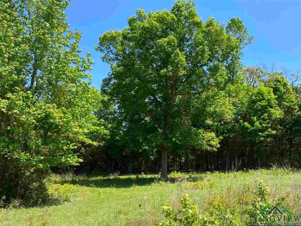 Tbd Orchid Road Ore City, TX 75683 - Photo 17 of 36 Gallery Image 17
