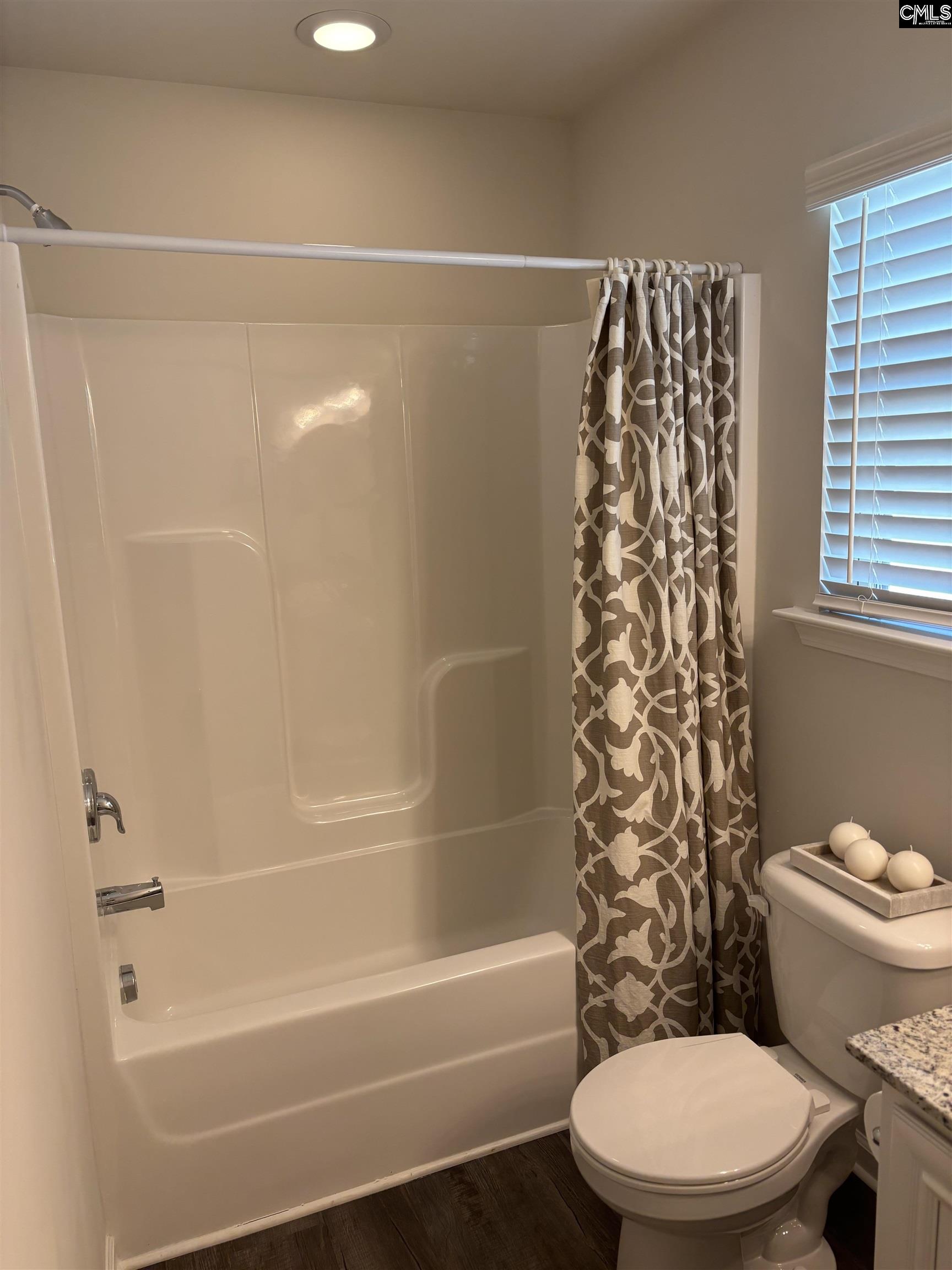 154 Wahoo Circle Irmo, SC 29063 - Photo 9 of 43