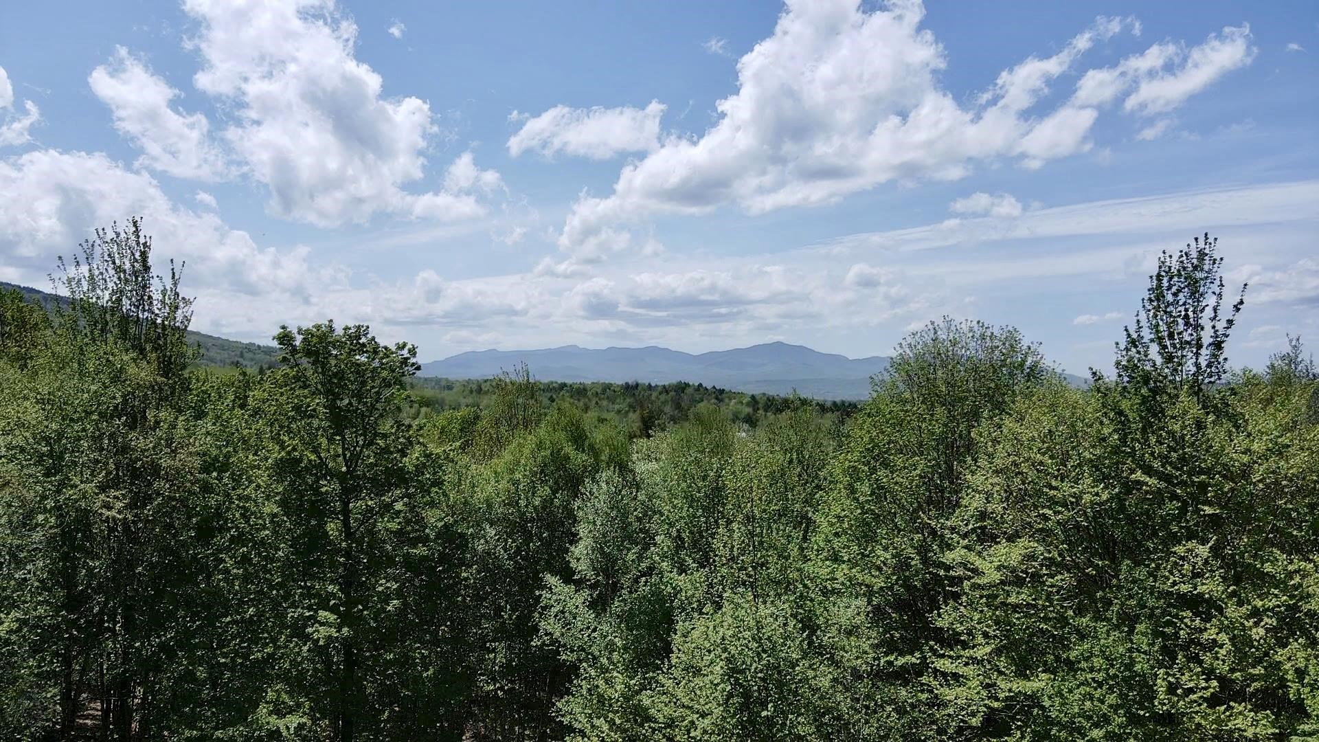 0 Brookview Lane, Unit 4 Wolcott, VT 05680 - Photo 14 of 15