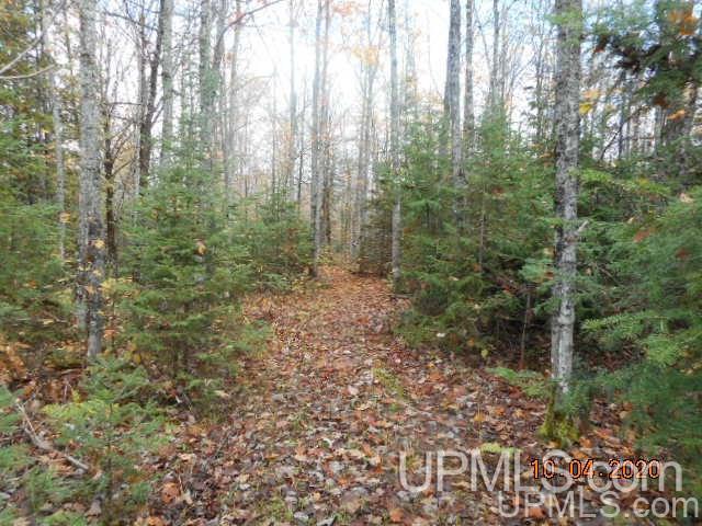 28662 South Wasas Road Mass City, MI 49948 - Photo 3 of 13