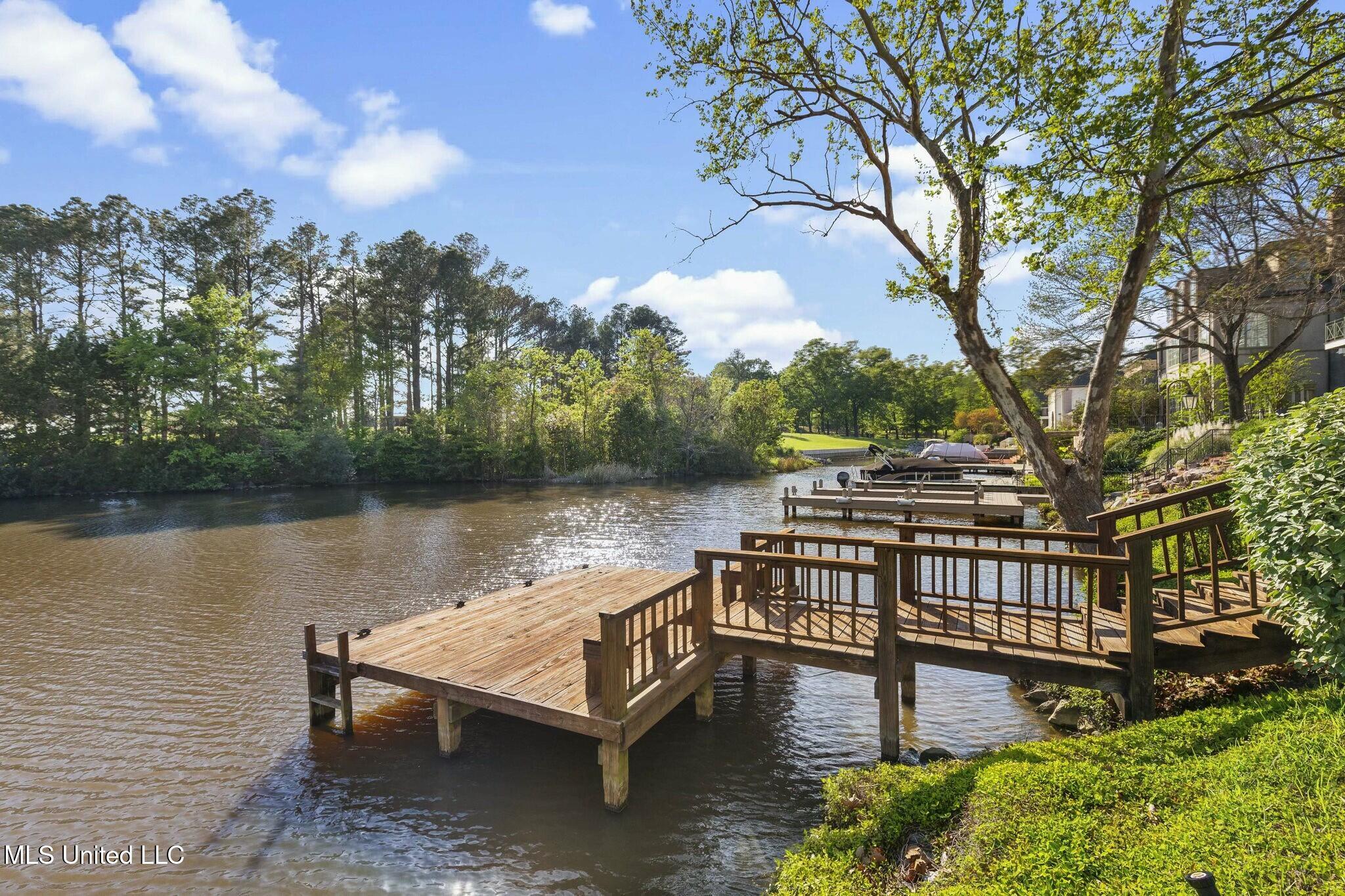 125 Overlook Pointe Drive Ridgeland, MS 39157 - Photo 38 of 49 tempImageccXgJX