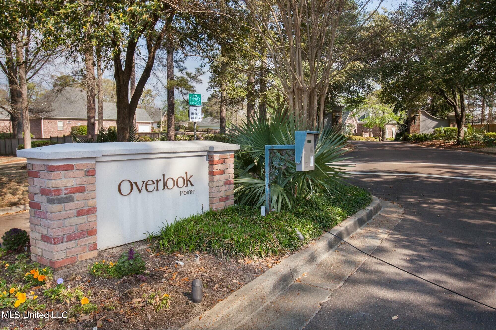 125 Overlook Pointe Drive Ridgeland, MS 39157 - Photo 42 of 49 tempImageqC7UhE