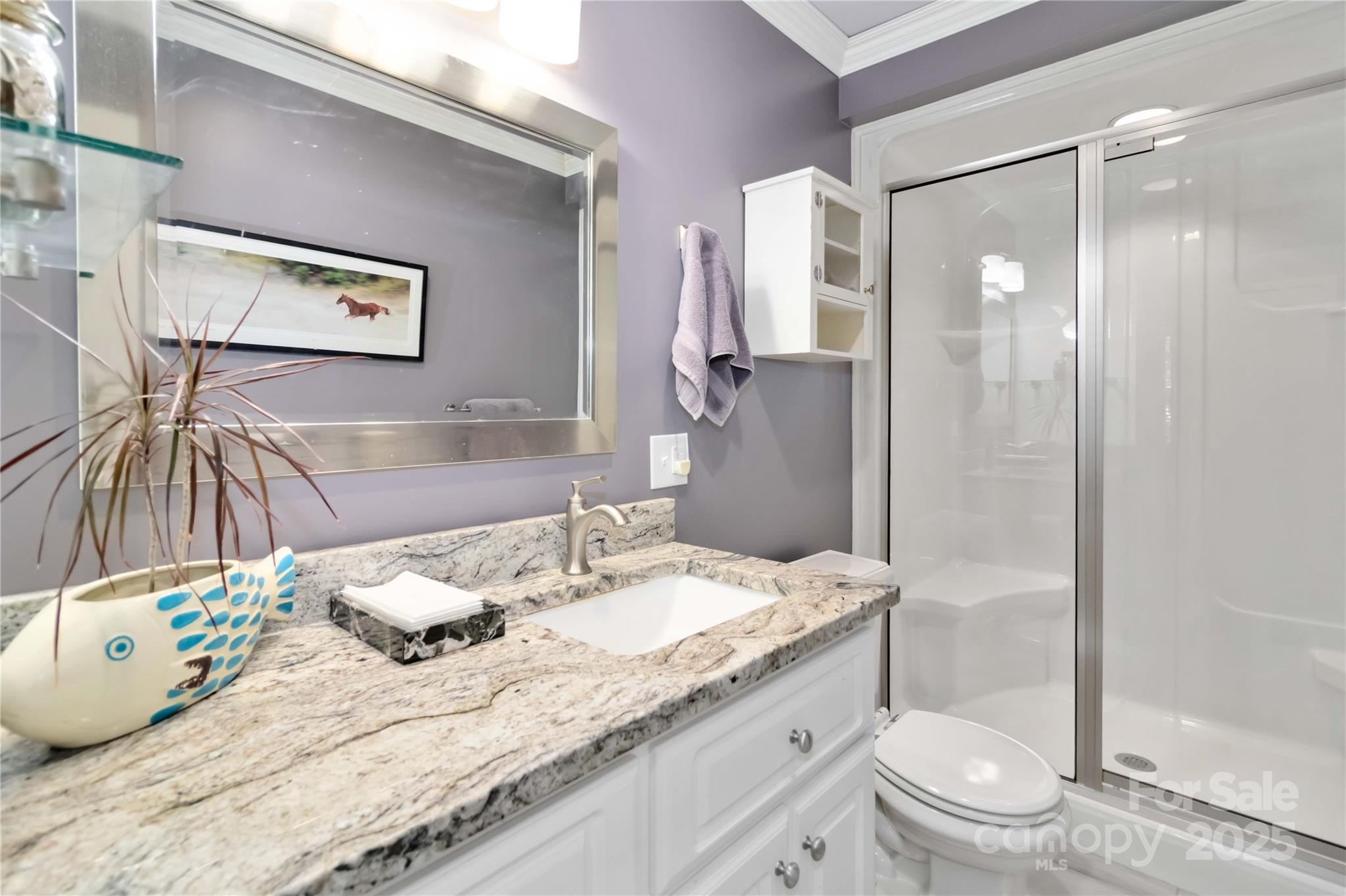 2880 Legion Road Smyrna, SC 29743 - Photo 23 of 48 a bathroom with a granite countertop sink and a mirror