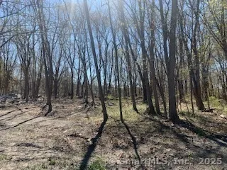 $149,900 | 0 Winthrop Street, Torrington, CT 06790