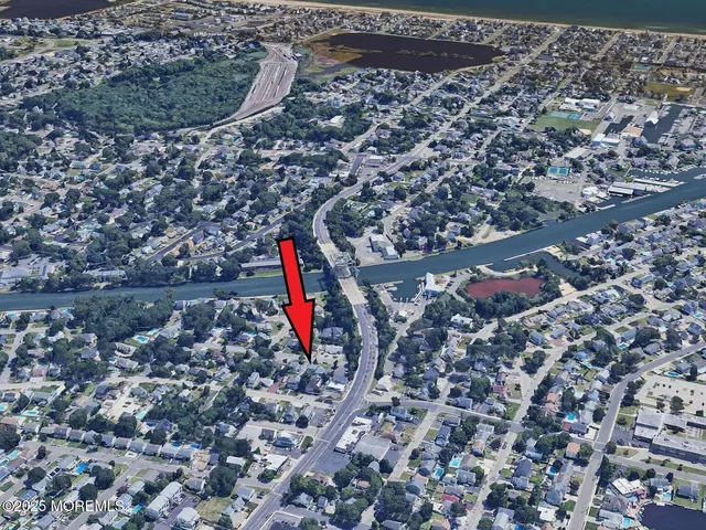 a view of a yard with plants and a large tree