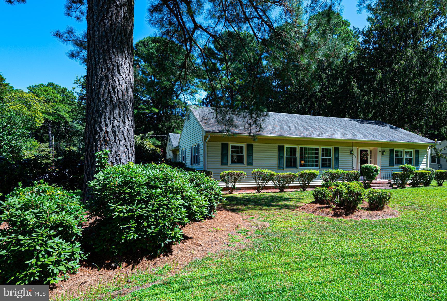 425 Pine Bluff Road Salisbury, MD 21801 - Photo 2 of 62 front view from corner
