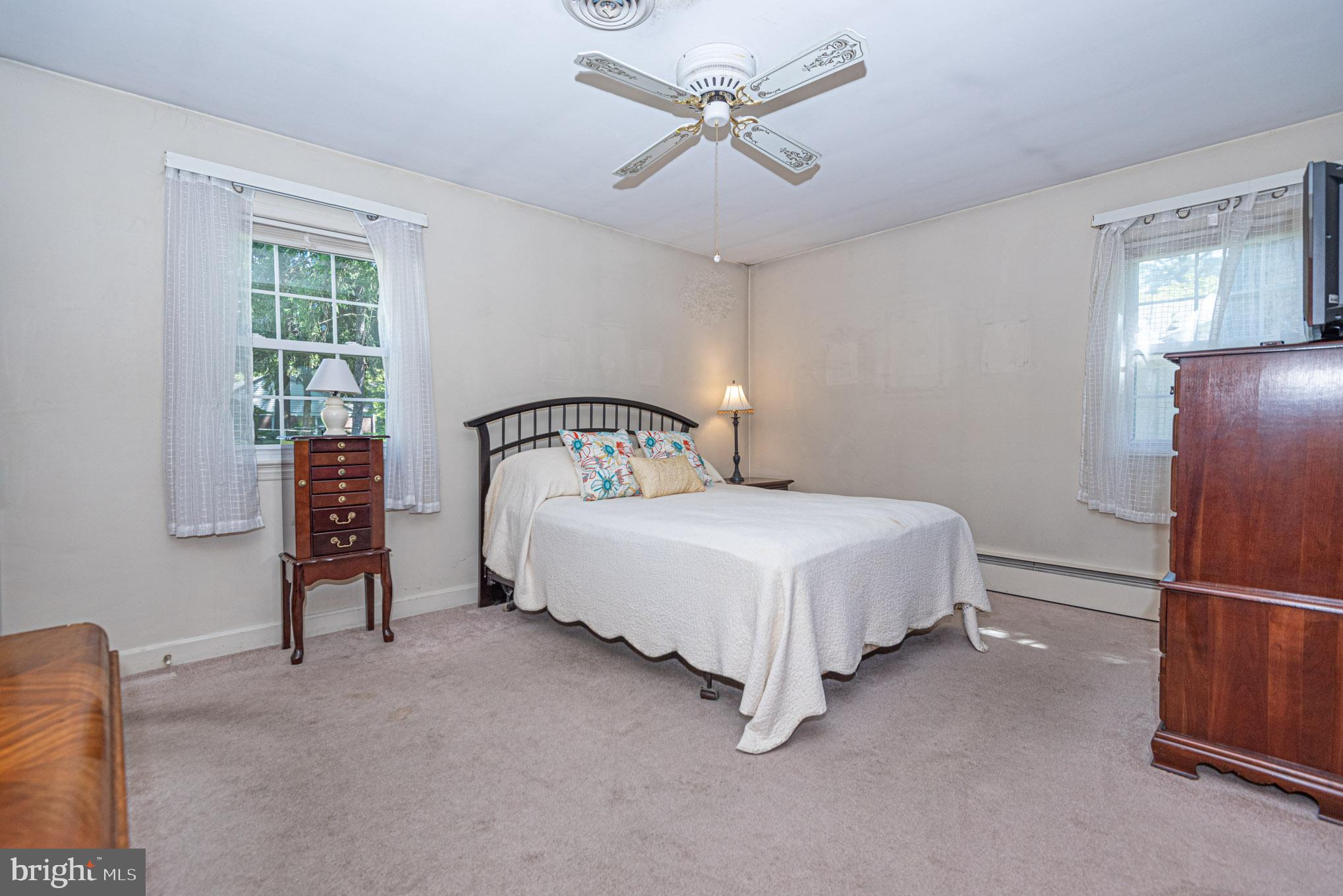 425 Pine Bluff Road Salisbury, MD 21801 - Photo 26 of 62 Owners suite (br2)