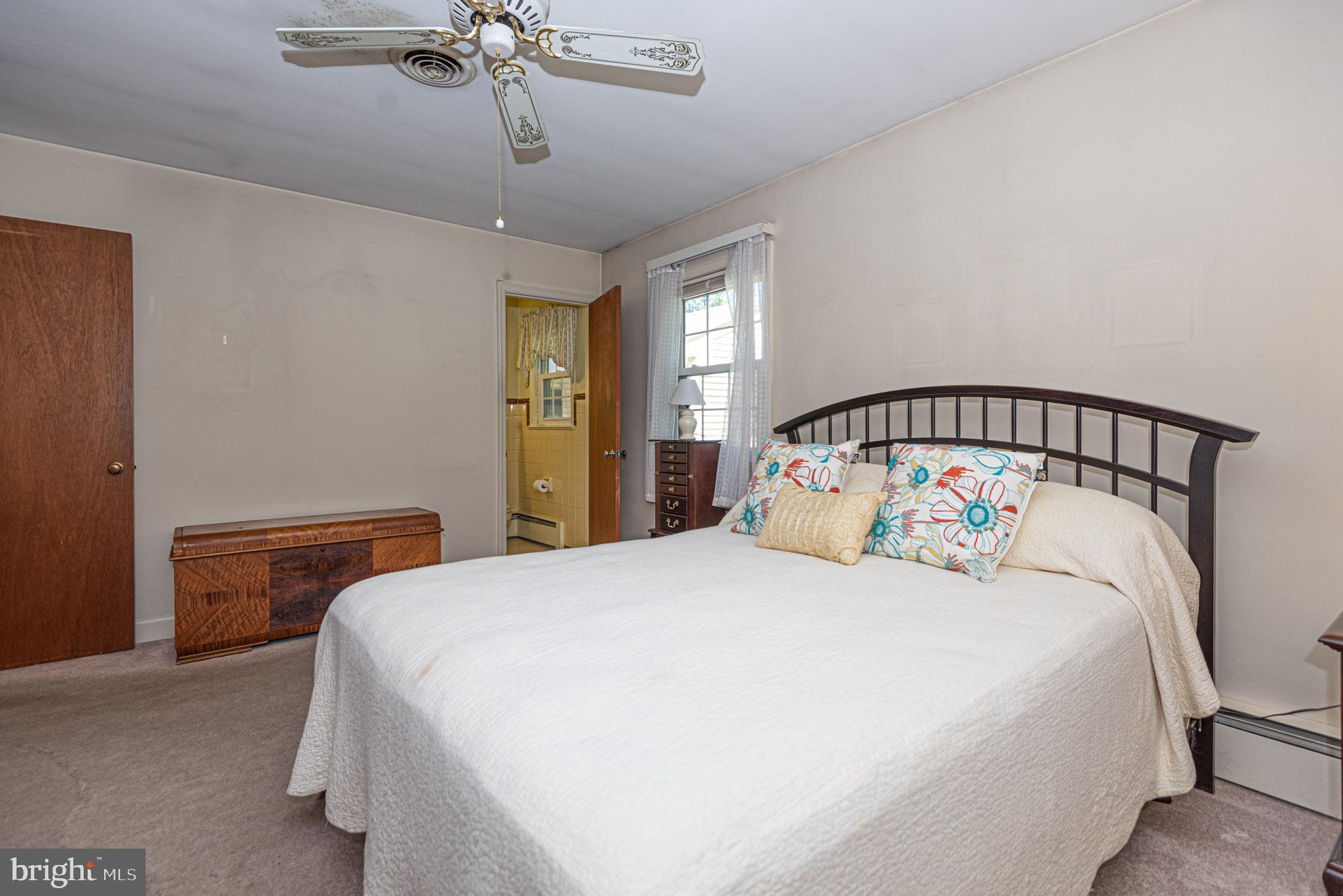 425 Pine Bluff Road Salisbury, MD 21801 - Photo 27 of 62 Owners suite (br2)