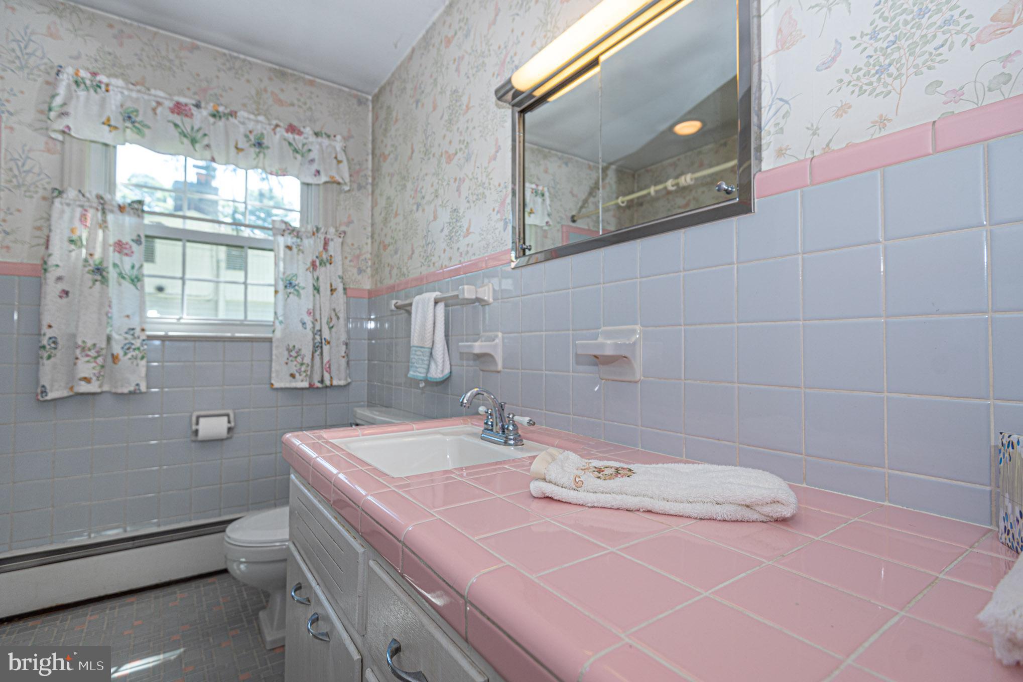 425 Pine Bluff Road Salisbury, MD 21801 - Photo 33 of 62 guest bath