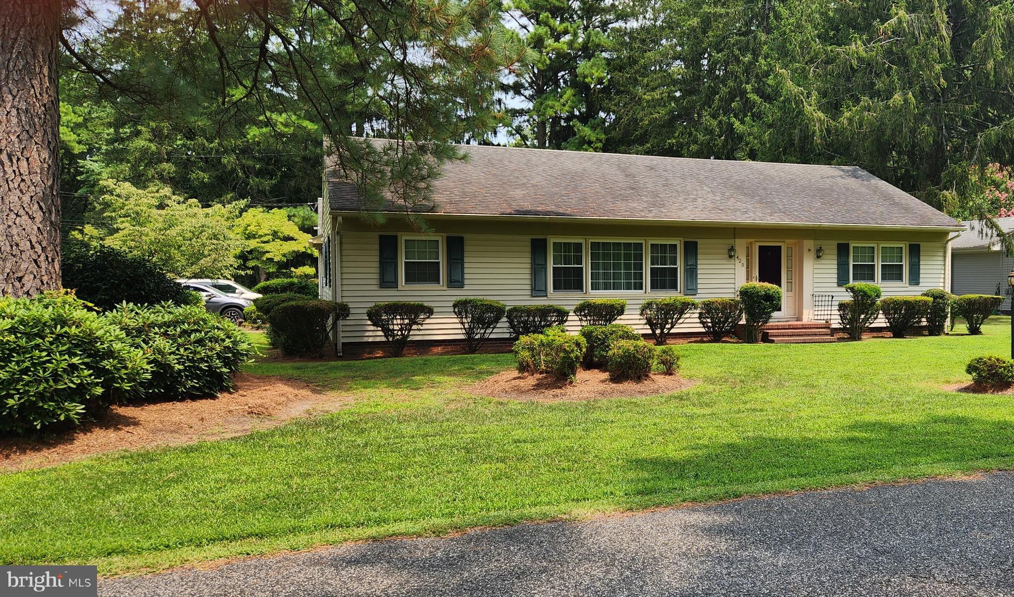 425 Pine Bluff Road Salisbury, MD 21801 - Photo 49 of 62 425 Pine Bluff Rd