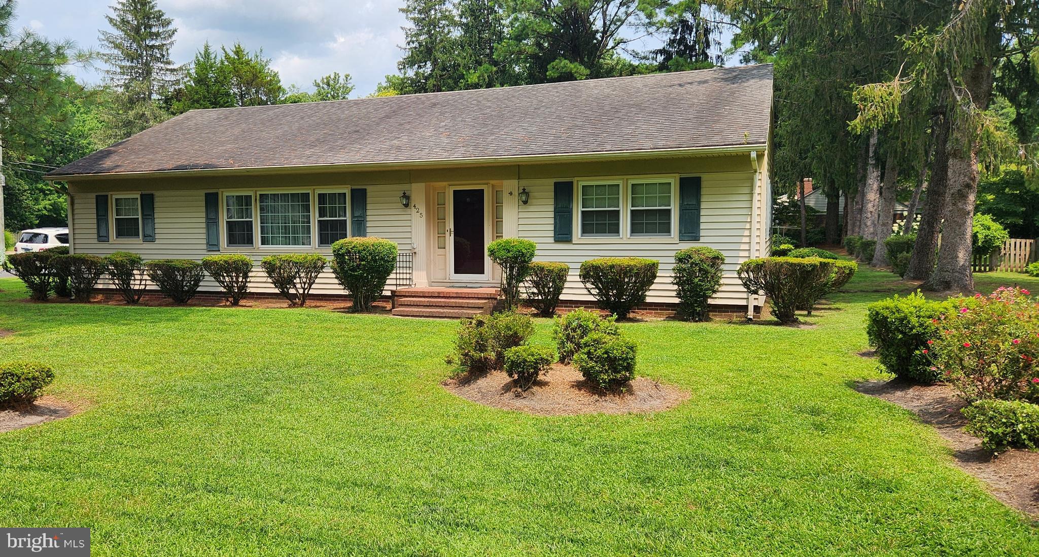 425 Pine Bluff Road Salisbury, MD 21801 - Photo 54 of 62 Front Yard
