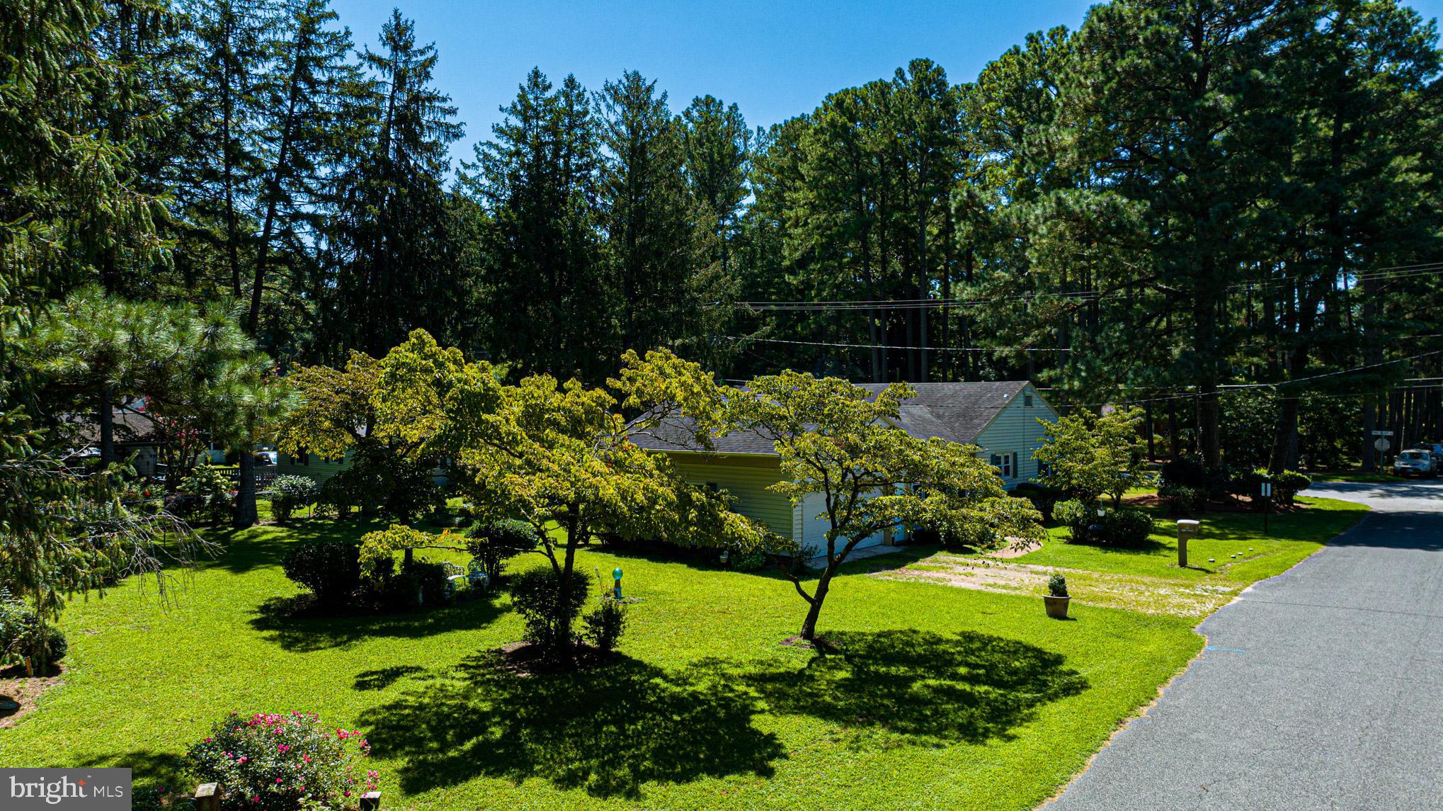 425 Pine Bluff Road Salisbury, MD 21801 - Photo 55 of 62 view of lot