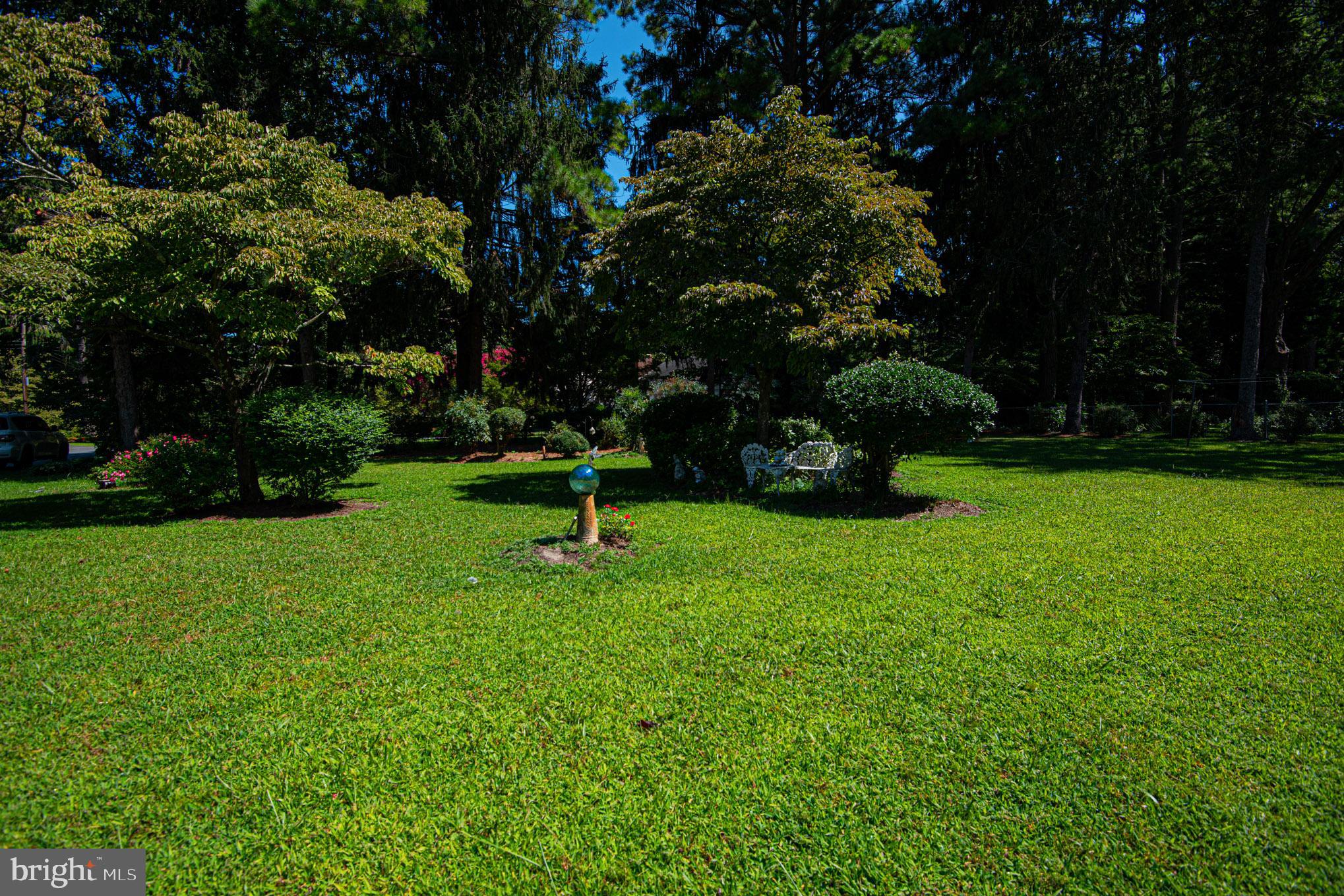 425 Pine Bluff Road Salisbury, MD 21801 - Photo 60 of 62 back yard