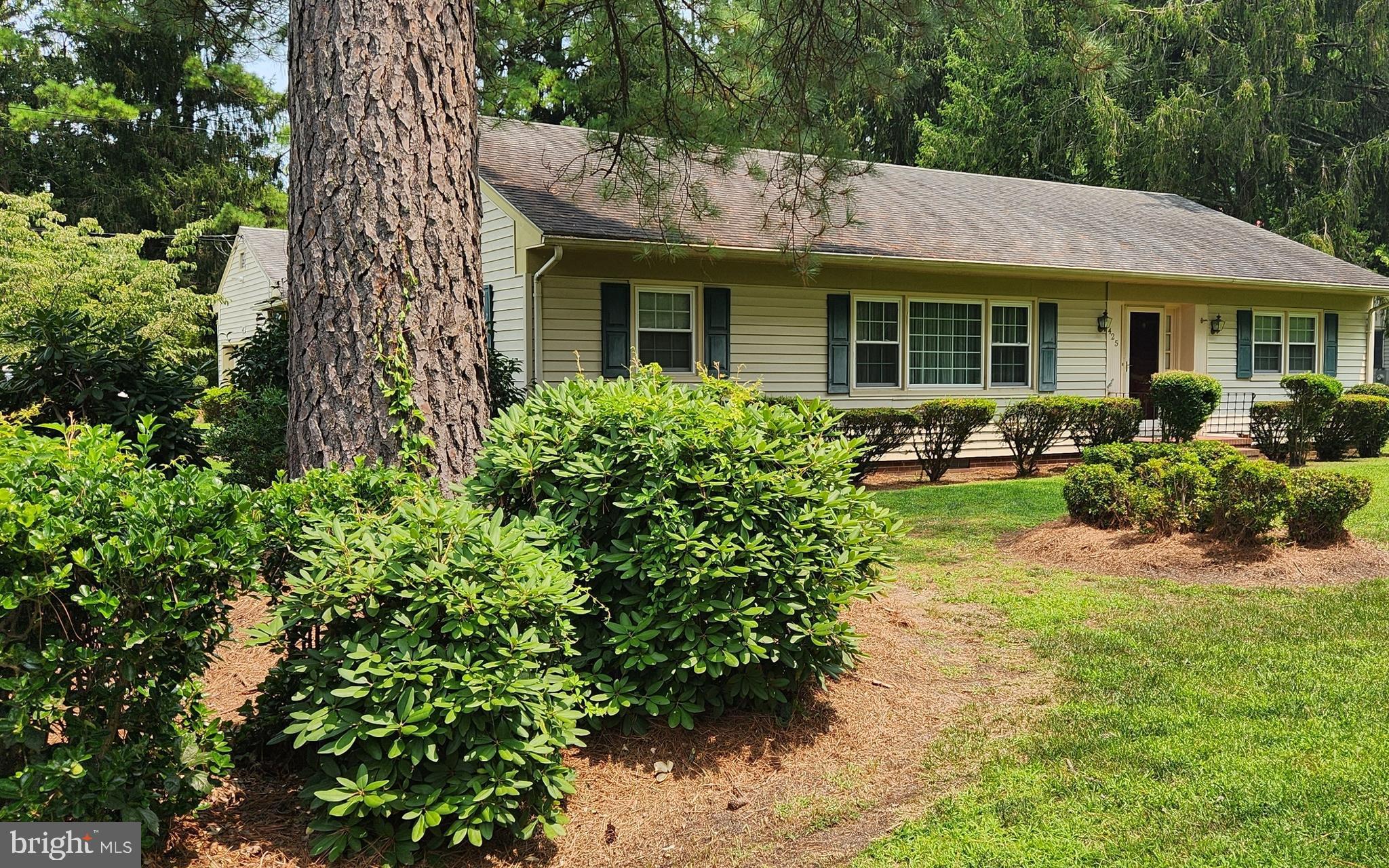 425 Pine Bluff Road Salisbury, MD 21801 - Photo 6 of 62 Front view from corner