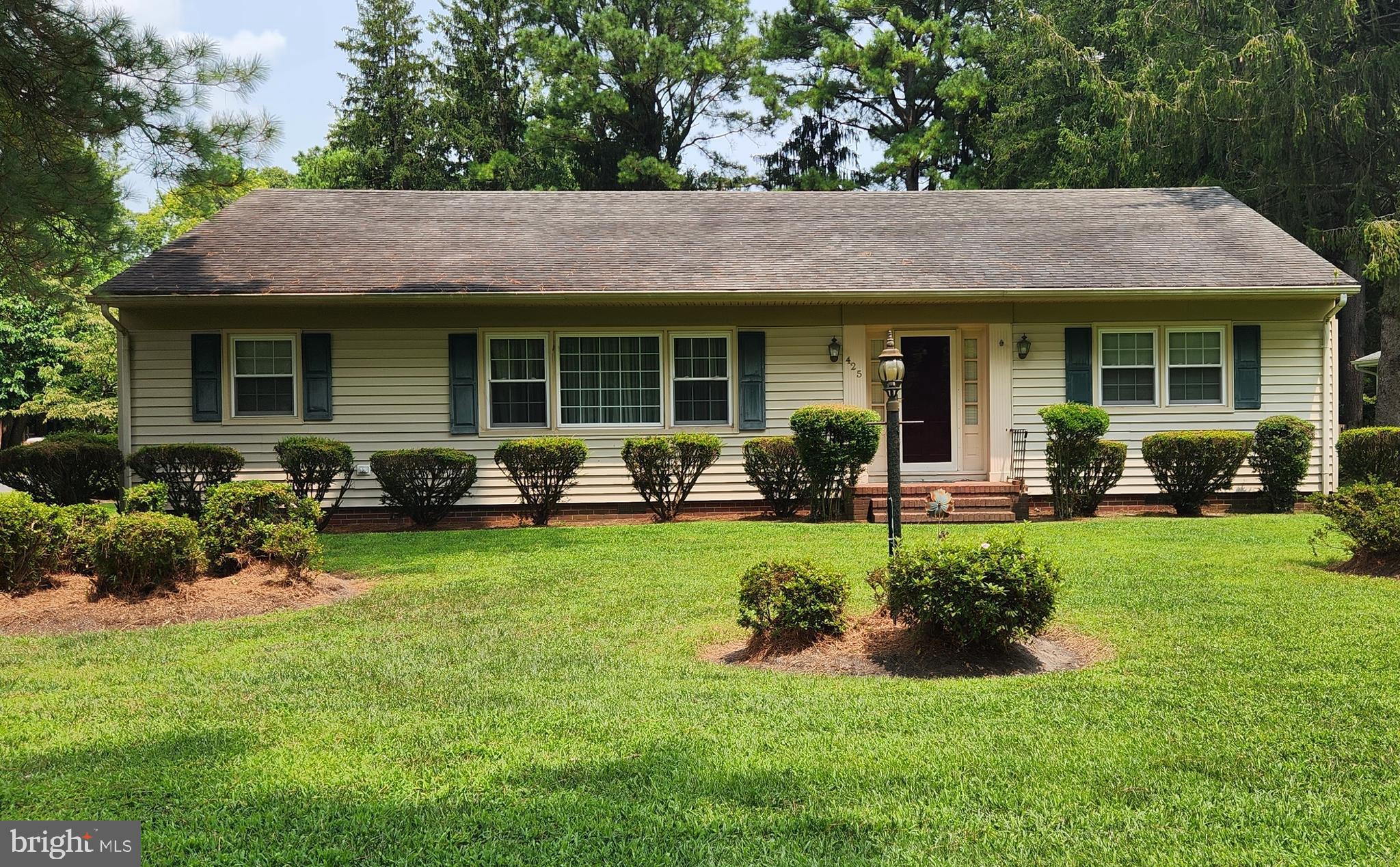 425 Pine Bluff Road Salisbury, MD 21801 - Photo 62 of 62 Front Yard