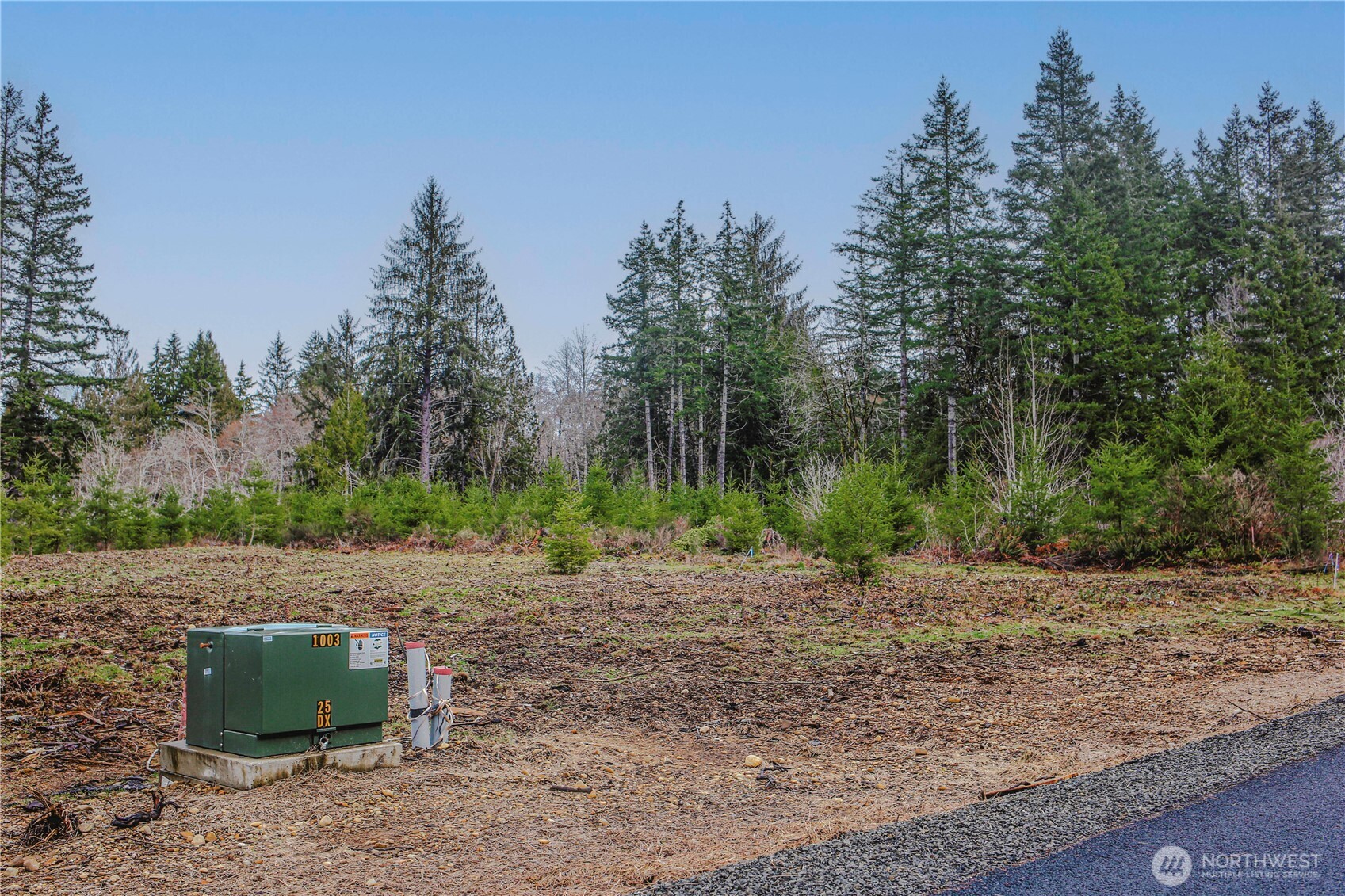 4 Larson Road McCleary, WA 98557 - Photo 18 of 26 a view of a yard with a tree