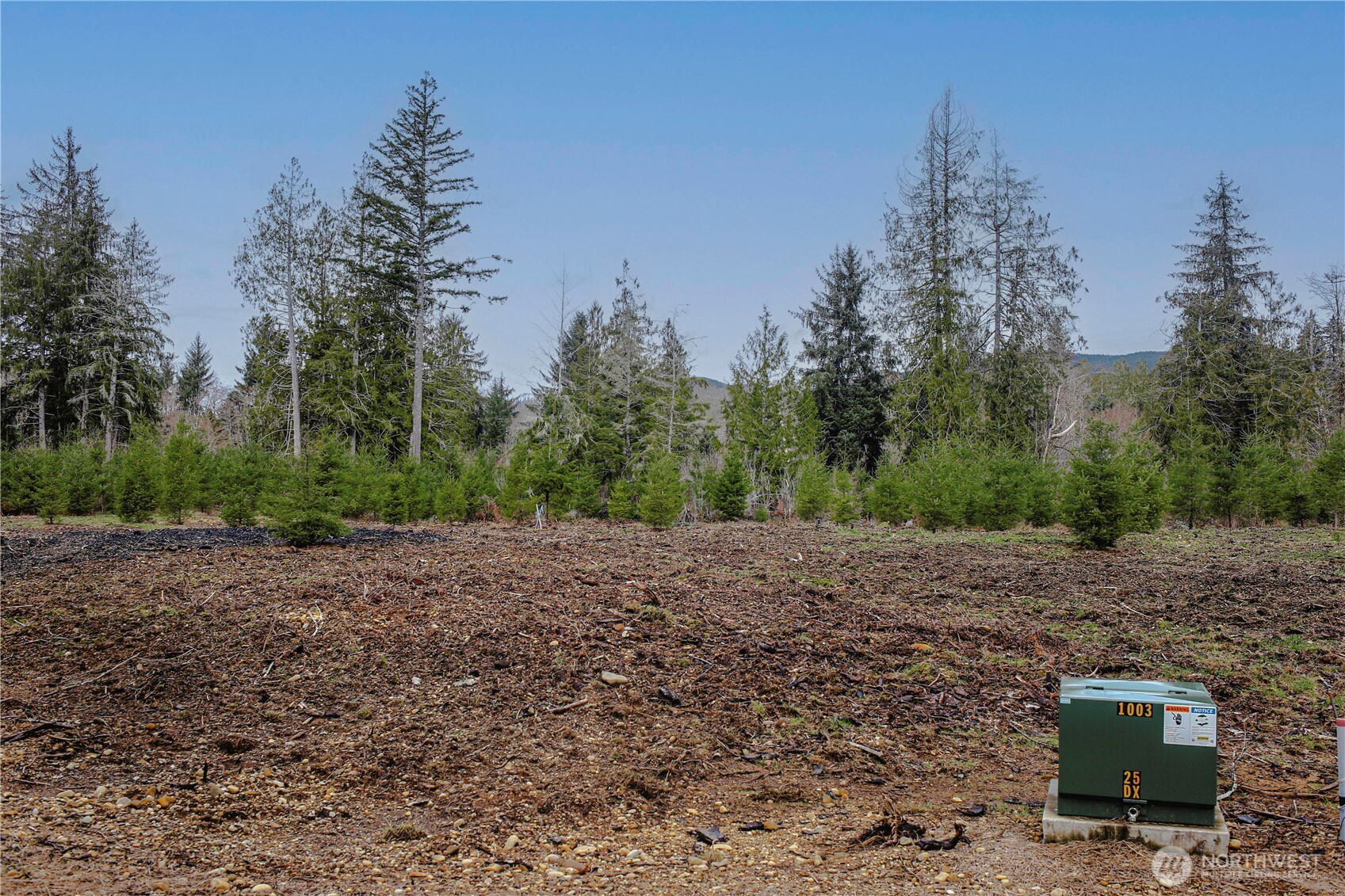 4 Larson Road McCleary, WA 98557 - Photo 19 of 26 a view of a backyard with large trees