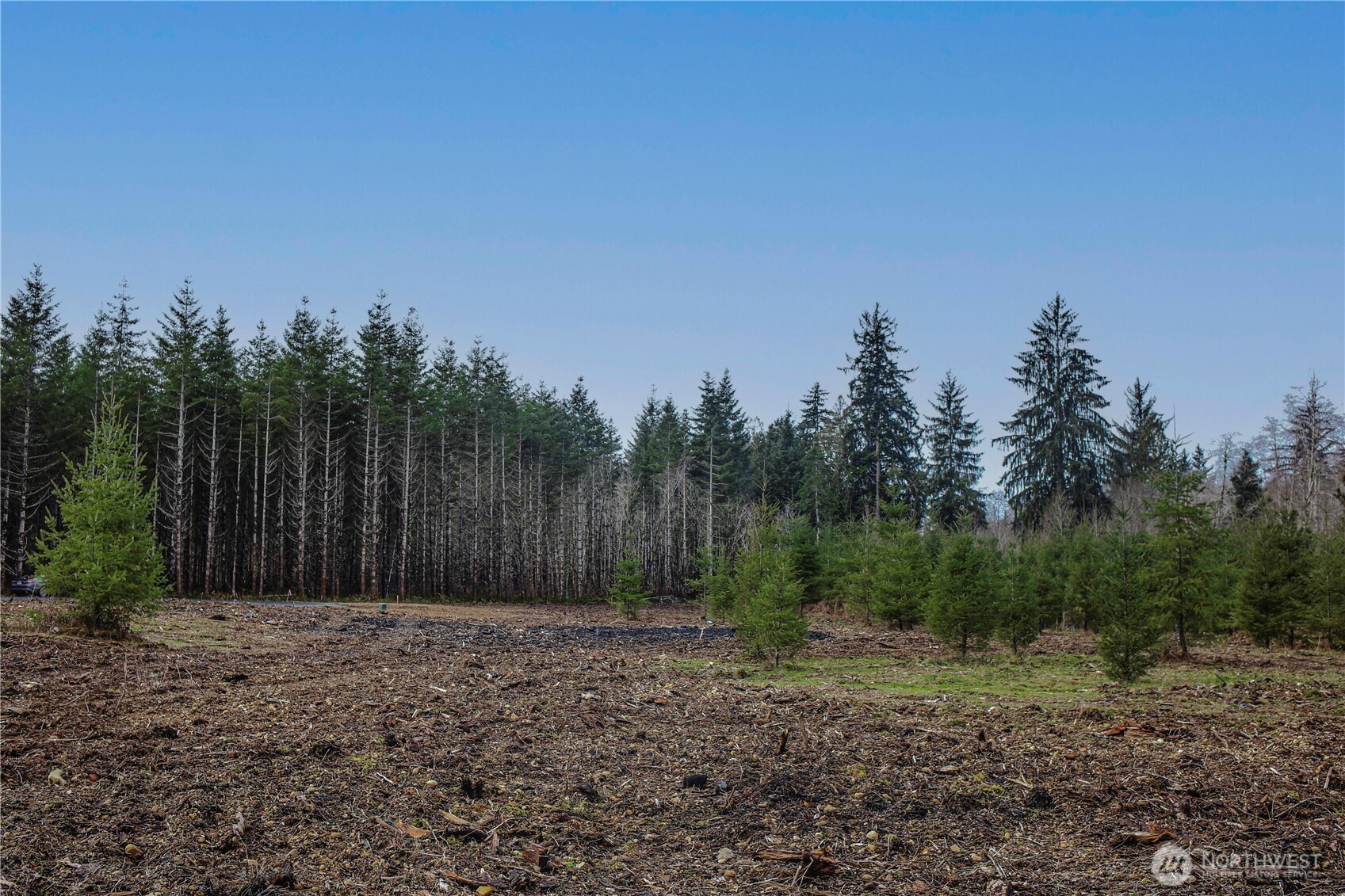 4 Larson Road McCleary, WA 98557 - Photo 21 of 26 a view of a backyard of the house