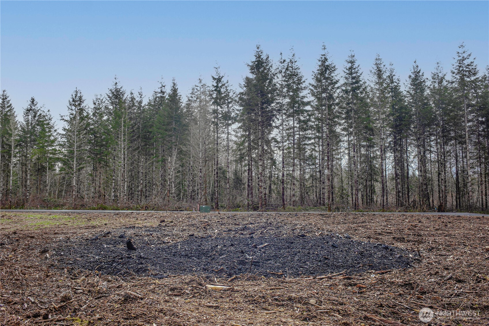 4 Larson Road McCleary, WA 98557 - Photo 24 of 26 a view of a field with trees in the background