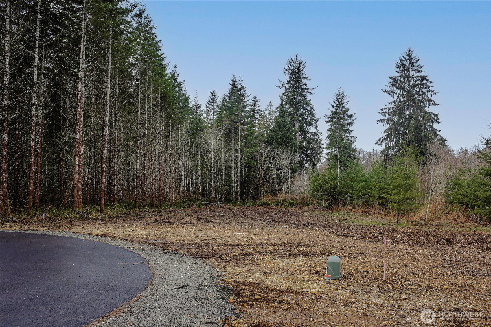 4 Larson Road McCleary, WA 98557 - Photo 25 of 26 a view of a yard with trees in the background