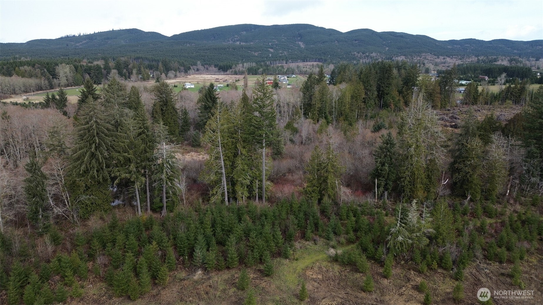 4 Larson Road McCleary, WA 98557 - Photo 4 of 26 a view of lake with mountain