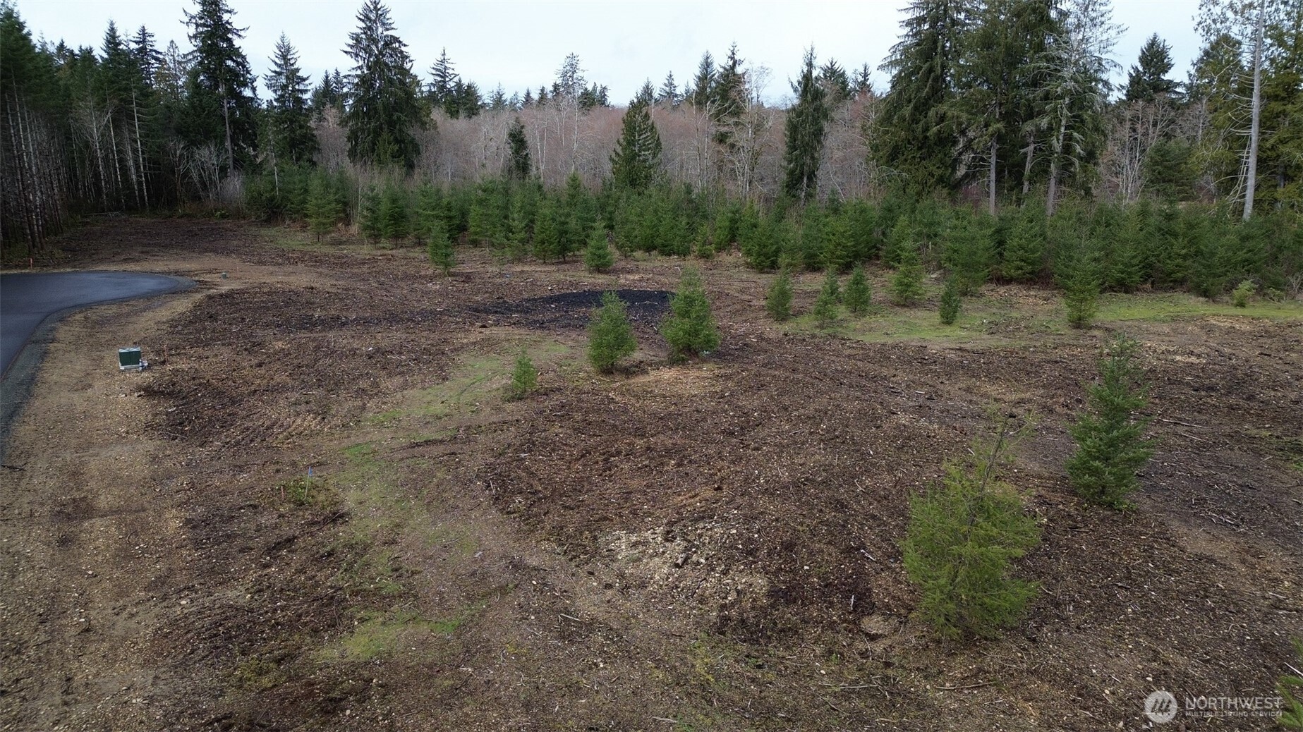 4 Larson Road McCleary, WA 98557 - Photo 8 of 26 a view of a yard with trees in the background