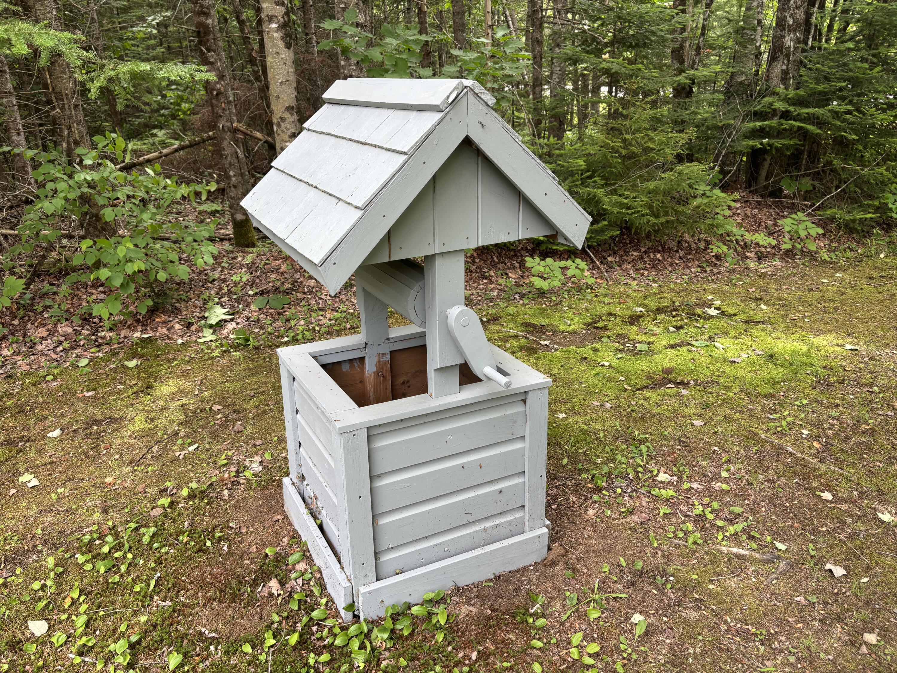 597 Hartland Road Canaan, ME 04924 - Photo 48 of 58 IMG_7483