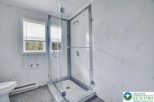 a bathroom with a shower and a toilet