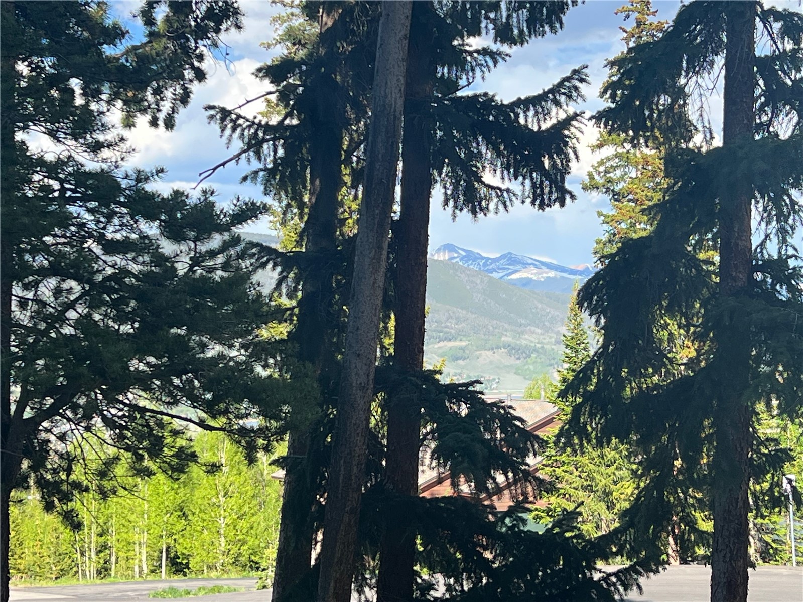 89410 Ryan Gulch Road, Unit 104 Silverthorne, CO 80498 - Photo 31 of 31 a view of a tree