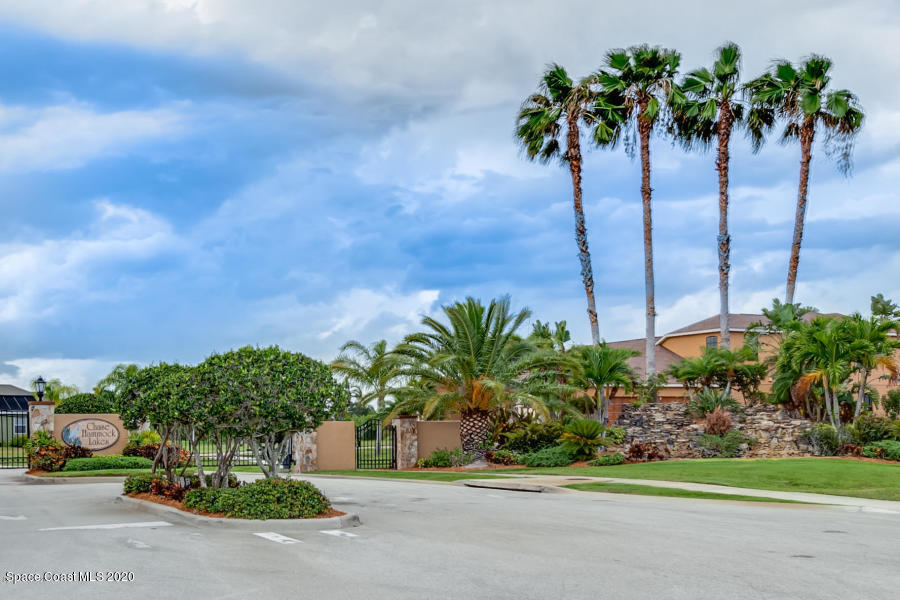 a view of a palm trees front of house