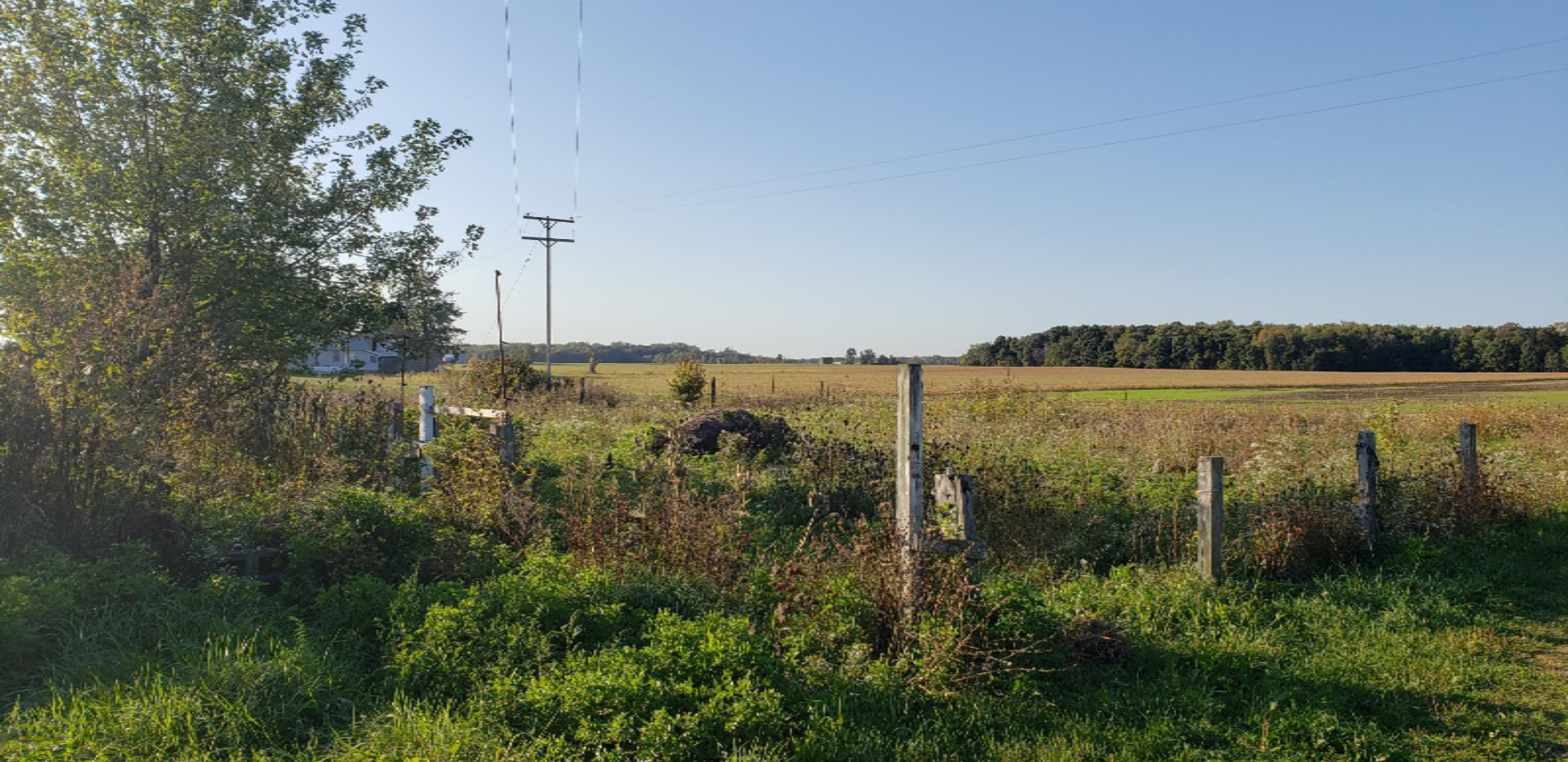 16851 Wabash Road Waldron, MI 49288 - Photo 8 of 20 20191008_173017