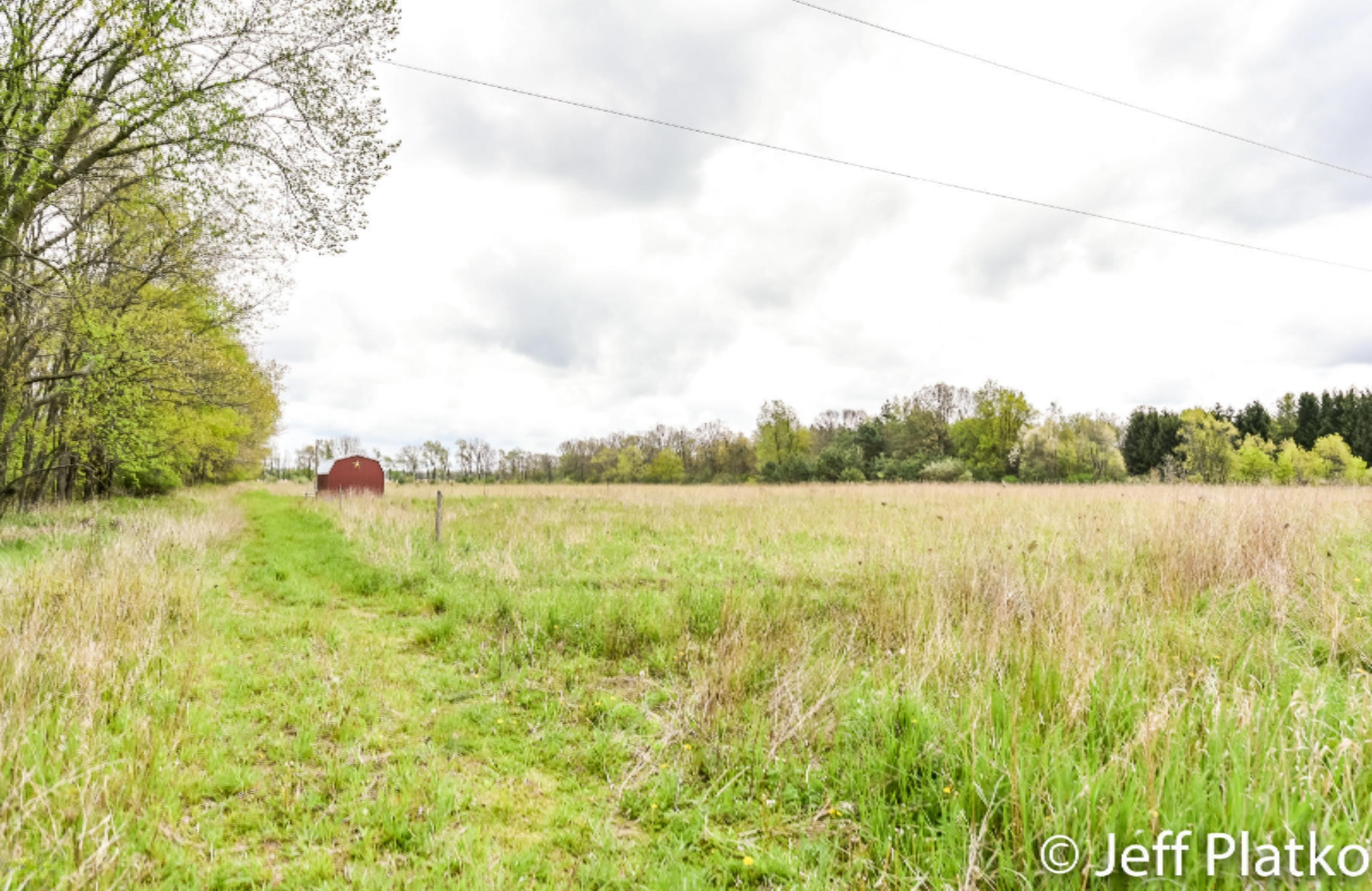 2717 Berridge Road Sidney, MI 48885 - Photo 54 of 54 DSC_7833